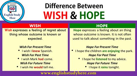 الفرق بين wish و hope